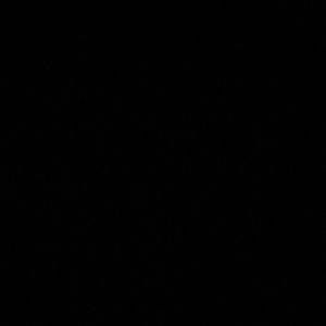 Meet your Posher, Celene